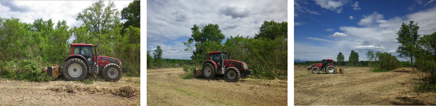 Amorpha trimming by use of forestry mulcher and Valtra tractor (purchased with the Life Magredi Grasslands project funds), in Torre and Natisone rivers confluence