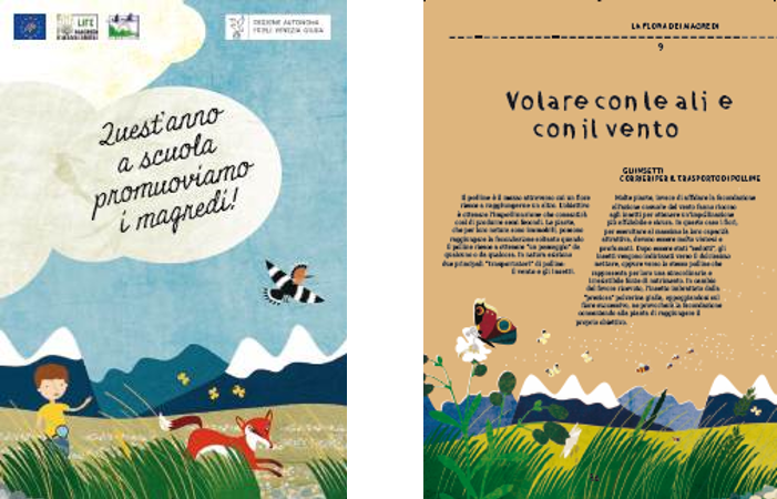 The publication dedicated to schools and created as an aid to the execution of educational activities for schools